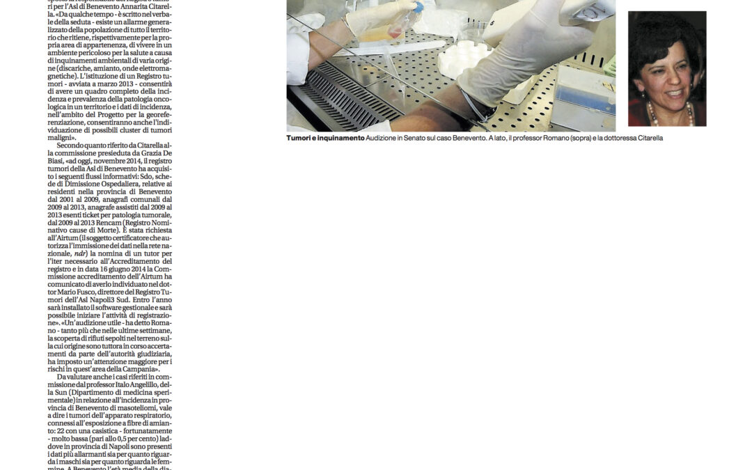 Il Mattino 27.11.2014 | Inquinamento e tumori, arriva anche il tutor