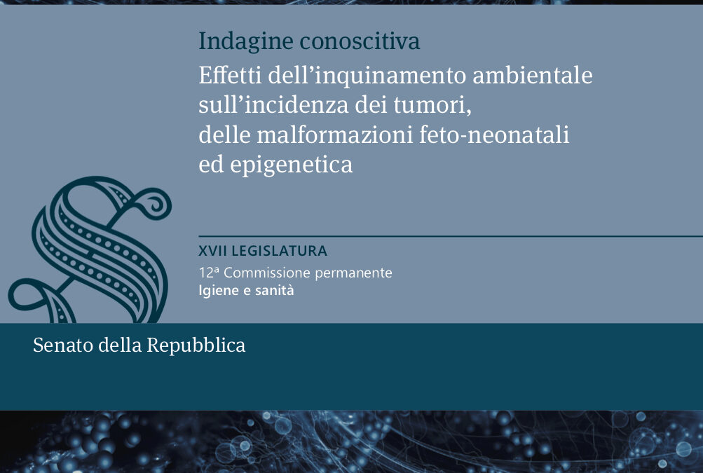 Comunicato Stampa 20.11.2018 | Caserta, Terra dei Fuochi: dal Governo solo analisi degli effetti, ma non la risoluzione del problema.